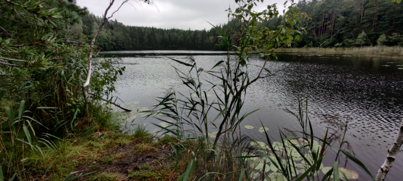 Tiedosto:Sorvalampi (23.021.1.016)-Laavu-ObsIMG-202108281206-6129fd3712a1c.png