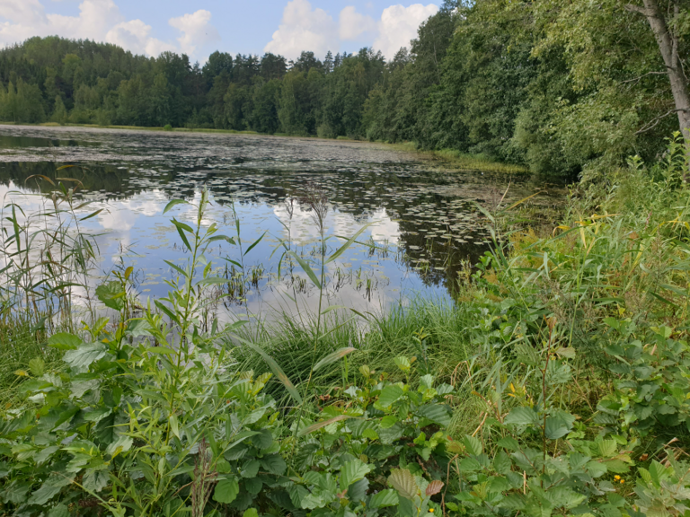 Urpolanlampi (04.152.1.001)-Uusi hulevesiputki-ObsIMG-202408081051-66b47a0c3ae26.png