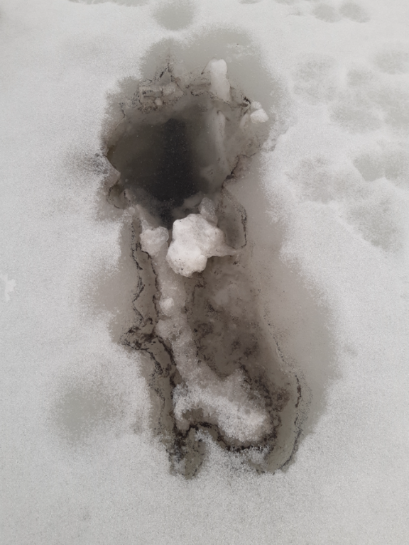 Kalilampi (02.015.1.011)-Rantala-ObsICE-202404100804-66161f7d47f24.png