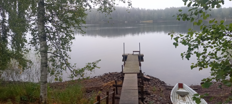 Saimaa (04.112.1.001)-Rotarien sinileväseuranta (Pulkkaselkä, Hietalahti)-ObsIMG-202508311017-1756624735775.png