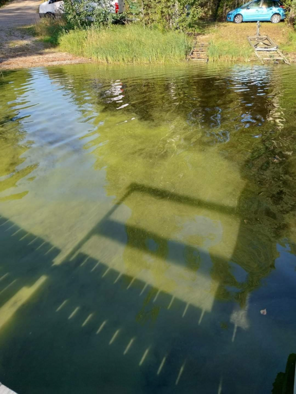 Suvasvesi (04.273.1.001)-Rotarien sinileväseuranta (Ukonlahti)-ObsIMG-202309091800-64fca52bd8601.png