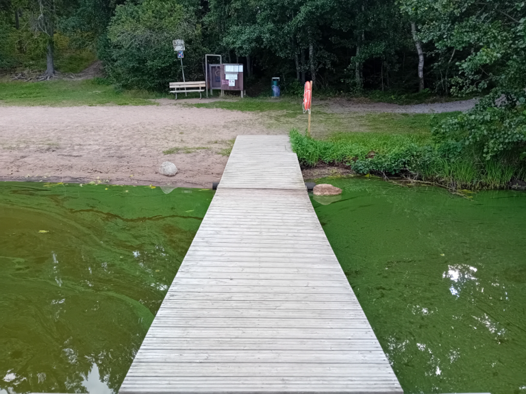 Hiidenvesi (23.031.1.001)-Haudankallio-ObsALG-202407270831-66a4a2caa0539.png