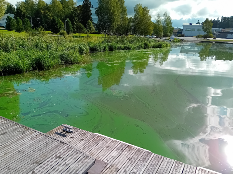 Hiidenvesi (23.031.1.001)-Kirkonkylän veneranta-ObsALG-202309031108-64f632895f038.png