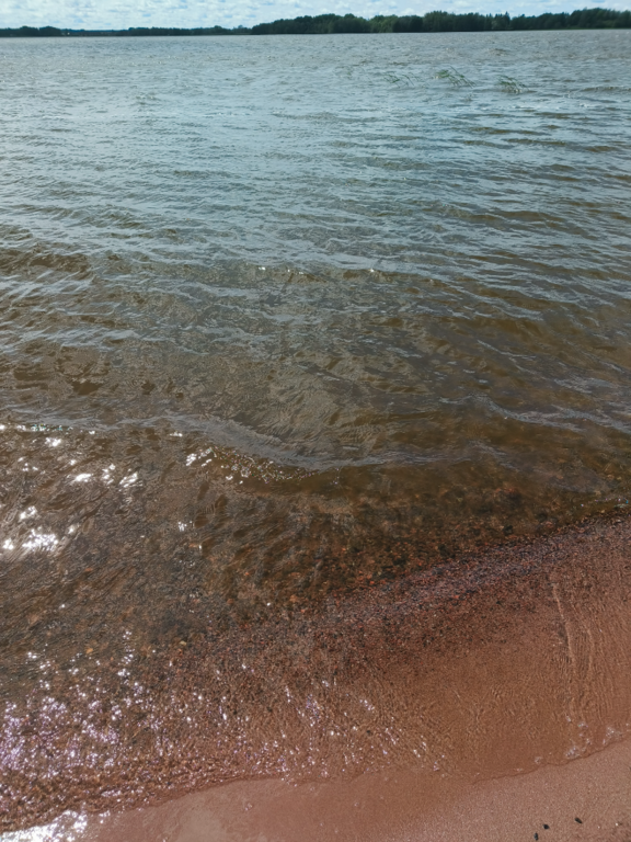 Köyliönjärvi (34.054.1.001)-Valtakunnallinen sinileväseuranta (Yttilän Otta)-ObsALG-202506171325-1750155953534.png