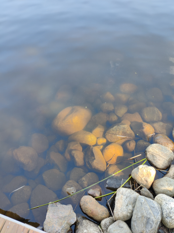 Päijänne (yhd.)-Valtakunnallinen sinileväseuranta (Majutvesi)-ObsALG-202307111010-64ad00614029e.png