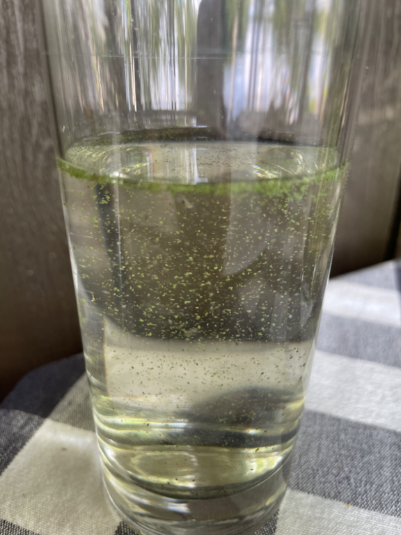 Peruvesi (14.916.1.005)-Koivulahti-ObsALG-202407131551-669279d62fbf7.png