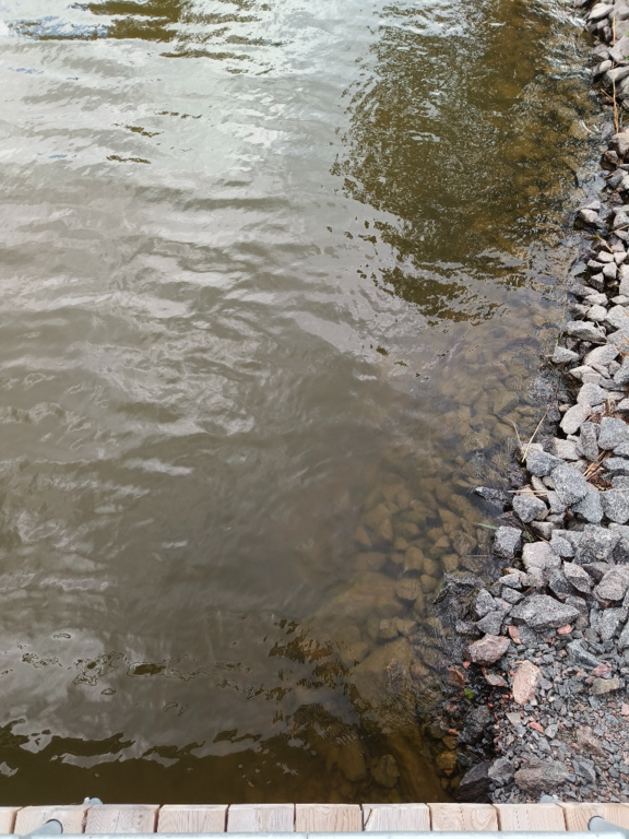 Pyhäjärvi (34.031.1.001)-Valtakunnallinen sinileväseuranta (Katismaan uimaranta)-ObsALG-202407021439-6683e6f07a439.png