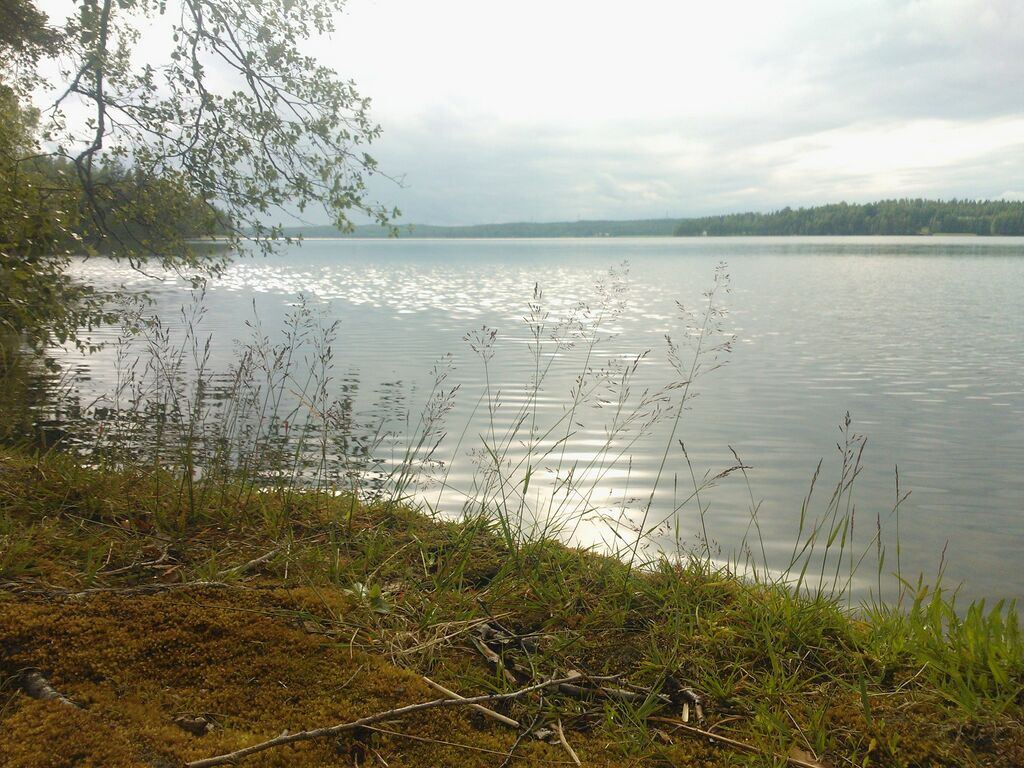 Vitträsk Hvitträsk Itä.jpg