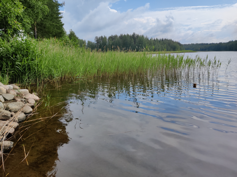 Alemmainen (04.112.1.314)-Alemmainen-ObsIMG-202306251415-649827f0b107e.png