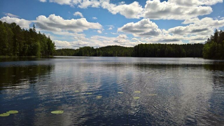 Näkymä itään.jpg