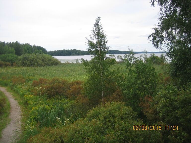 Nummelan lintutornista.JPG