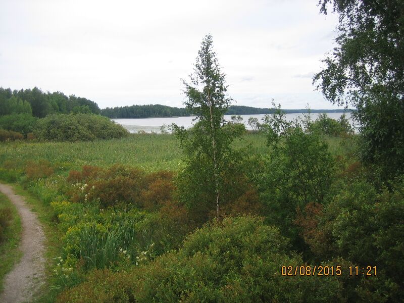 Tiedosto:Nummelan lintutornista.JPG