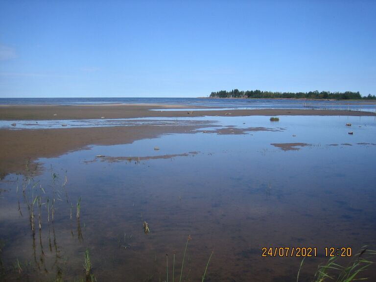 Veteraanimajan ranta.JPG