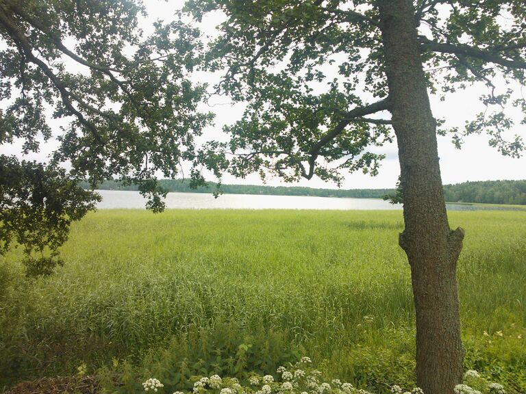 Vitträsk Aavaranta Pohjoinen.jpg