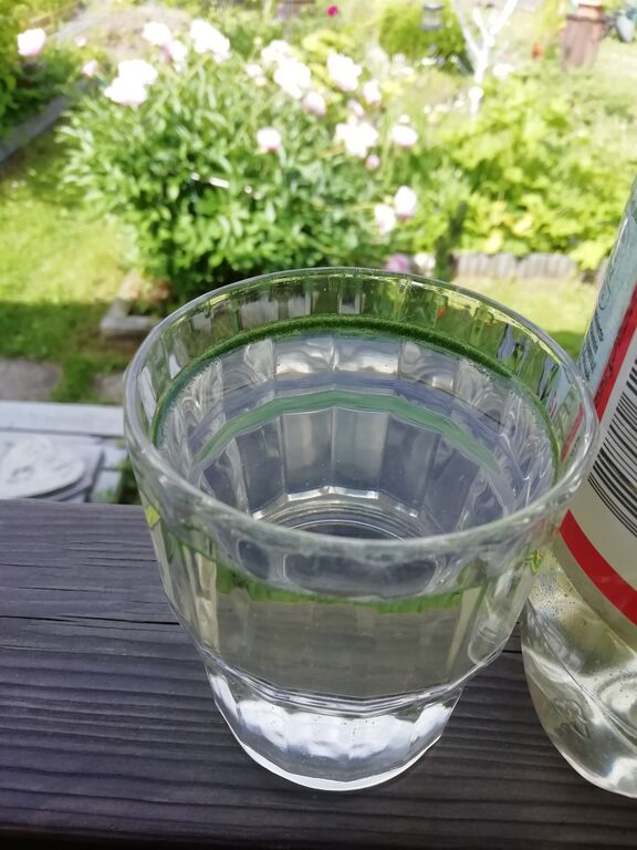 Kallavesi (yhd.)-Havaintopaikka 6-ObsALG-201906291628-75.jpg