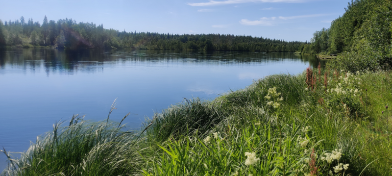 Tiedosto:Madetkosken alue (65.822)-Peurasuvanto-ObsIMG-202307101532-64abfa538d31f.png