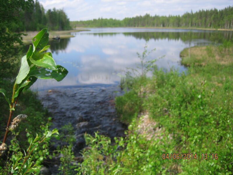 Tiedosto:Toholampi Lamunjarvi.JPG
