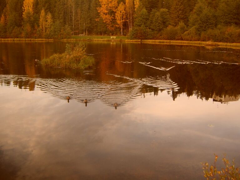 Yhtä & toista 317.jpg