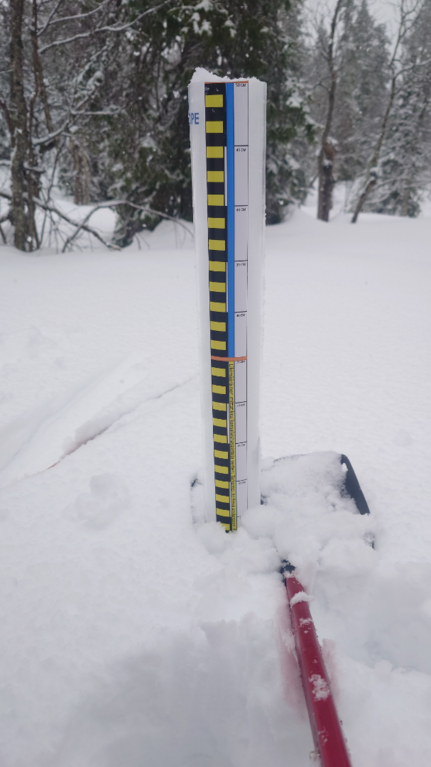 Pallasjärven valuma-alue (65.652)-Pallaskero-ObsSNOW-202603261127-69c4fc8fc7584.png