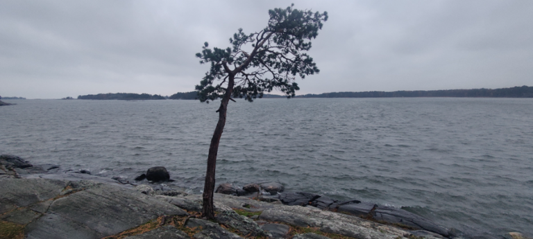 Sipoon saaristo-Niemenapaja-ObsIMG-202110071805-615f0ce7abf26.png