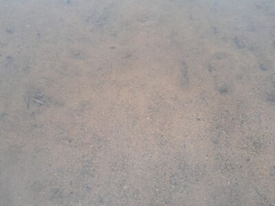 IMG-20260629-WA0000.jpg