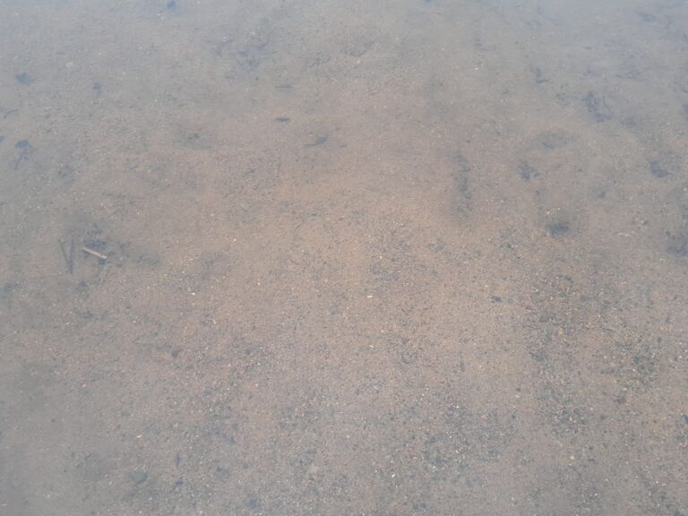 IMG-20260629-WA0000.jpg