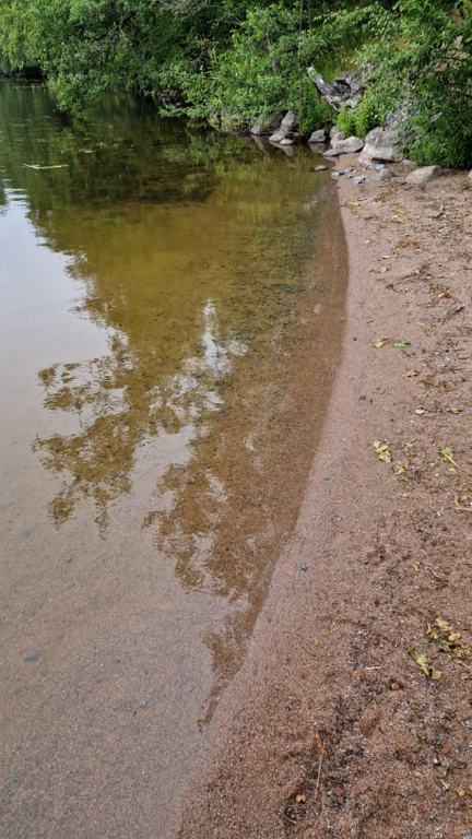 Katumajärvi (35.236.1.001)-Katuman lavan uimaranta-ObsALG-202407040815-668635925a7a7.png