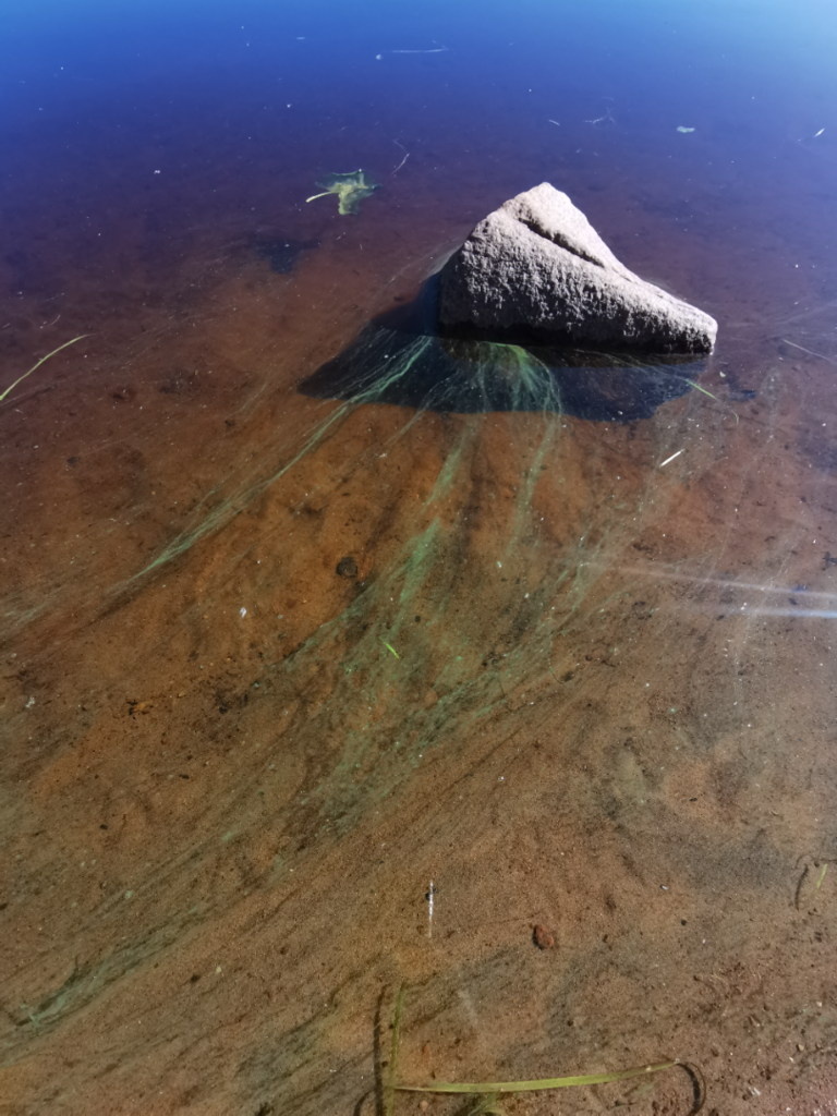 Oulun edusta-Pikisaari -ObsALG-202507061048-686a2af120aa8.png