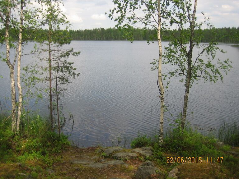 Ahvenlampi Oulainen.JPG