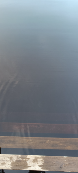 Kikurinjärvi (35.289.1.008)-Rotarien sinileväseuranta-ObsIMG-202606222228-1782156586836.png