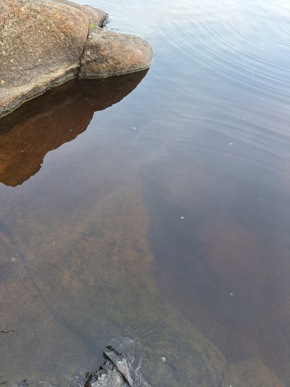 Luodonjärvi (99.110.1.001)-Valtakunnallinen sinileväseuranta-ObsALG-202306131613-64886babe84a3.png