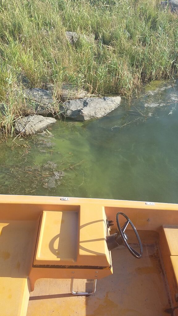 Merikarvian avomeri-Havaintopaikka 1-ObsIMG-201807310902-25.jpg