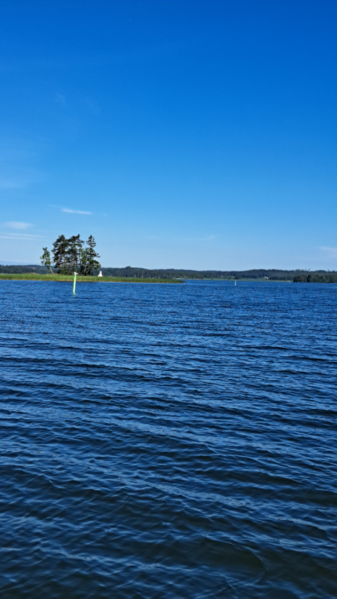 Tiedosto:Vesijärvi (14.241.1.001)-Pölkky-ObsSECCHI-202606201012-1782112807890.png