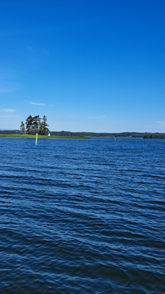 Vesijärvi (14.241.1.001)-Pölkky-ObsSECCHI-202606201012-1782112807890.png