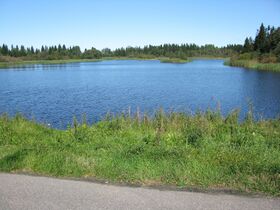 Aittalahti 2194.JPG