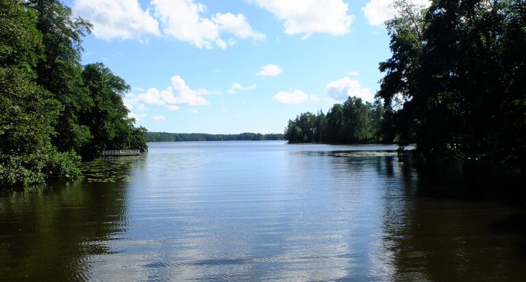 Björkboda träsk.jpg