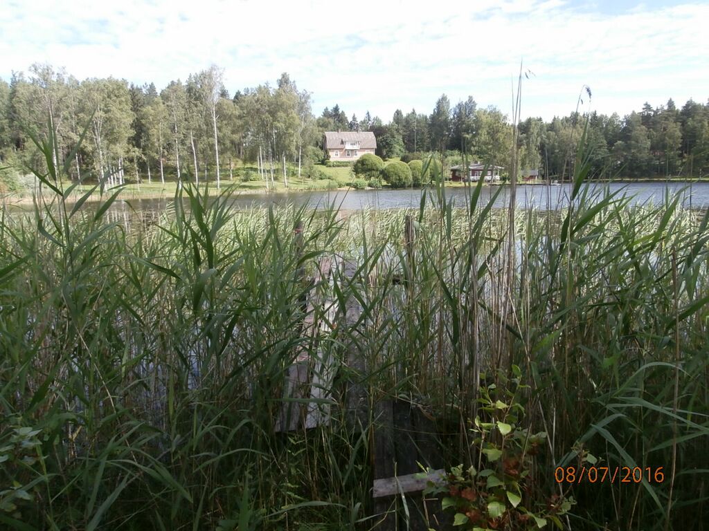 Pålsträsket lounaisranta.JPG