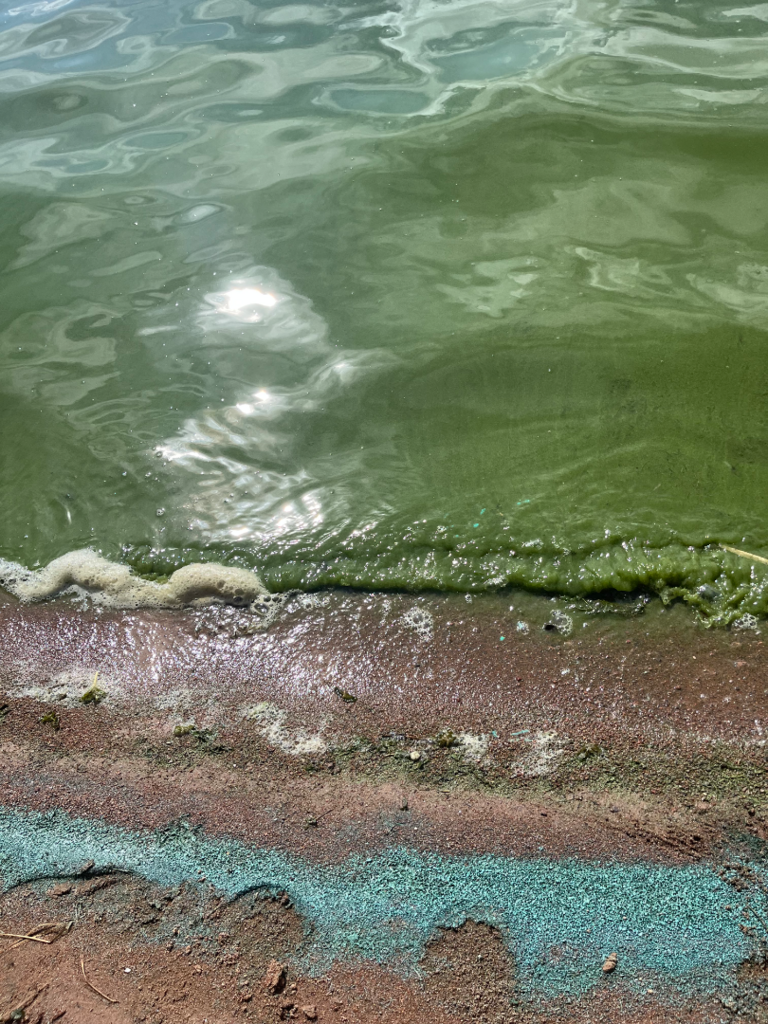 Summan edusta-Popanniemi-ObsIMG-202508101430-1754825474735.png