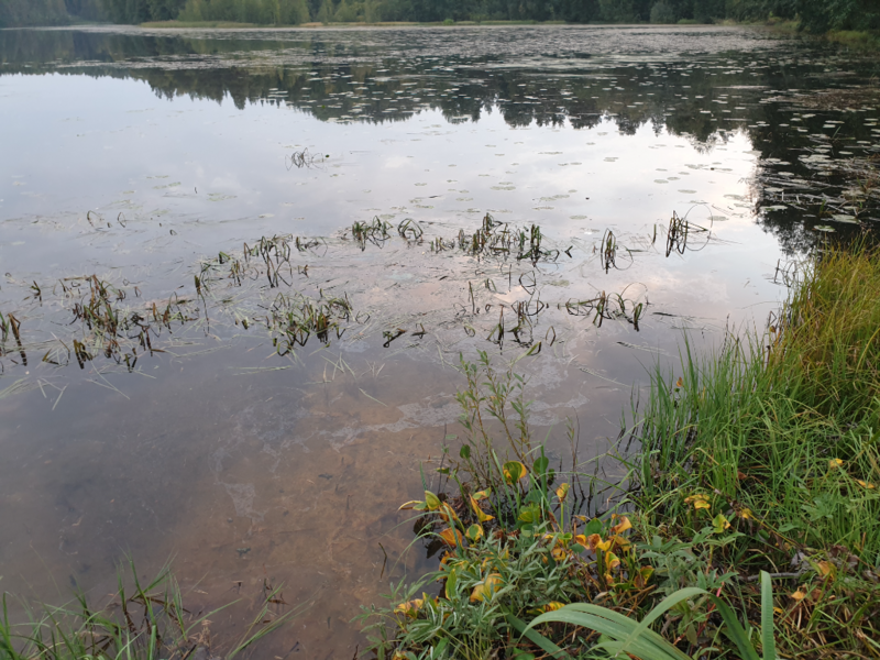 Tiedosto:Urpolanlampi (04.152.1.001)-Uusi hulevesiputki-ObsIMG-202409141920-66e5cf4385f22.png