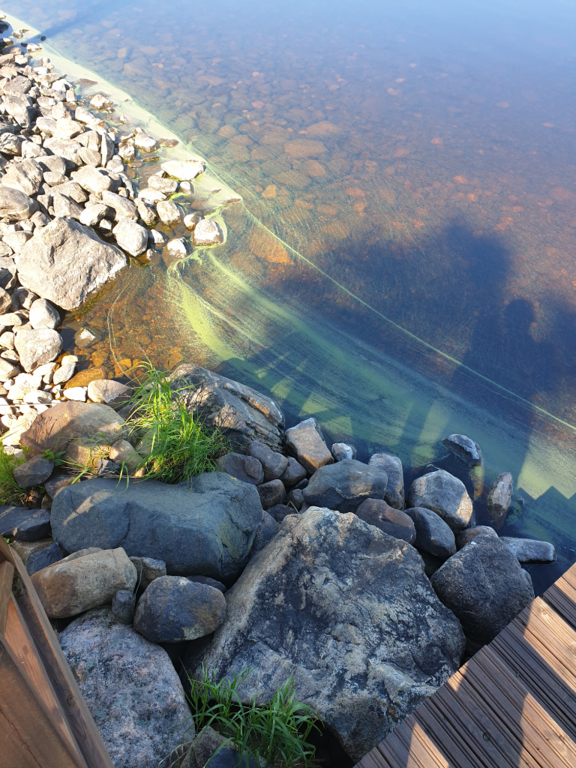 Änättijärvi (59.931.1.001)-Säynäjäniemi-ObsALG-202107042046-60e1f454eedd8.png