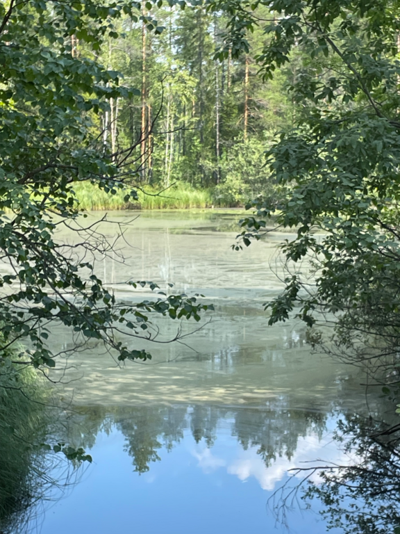 Jaurakaisjärvi (60.065.1.001)-Marikaisoja-ObsIMG-202507311735-688b7f68c6881.png