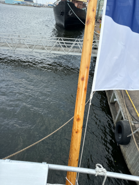 Tiedosto:Kotkan edusta, Sunilanlahti-Valtakunnallinen sinileväseuranta (Suomen merimuseo)-ObsIMG-202408271041-66cd83a22ec1e.png