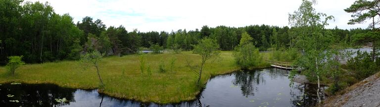 Lilla Masugnsträsket6.JPG