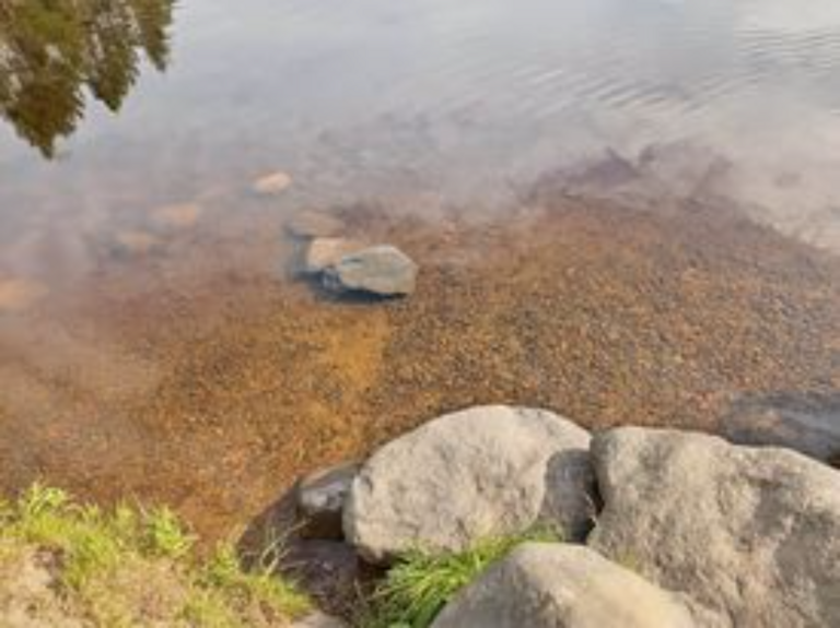 Montanlampi (59.121.1.001)-Rotarien sinileväseuranta-ObsIMG-202306220822-6493e9bfdd61b.png