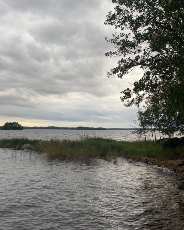 Orivesi (Saimaa) (04.311.1.001)-Kokkoveikot-ObsIMG-202309171914-6507266324c20.png