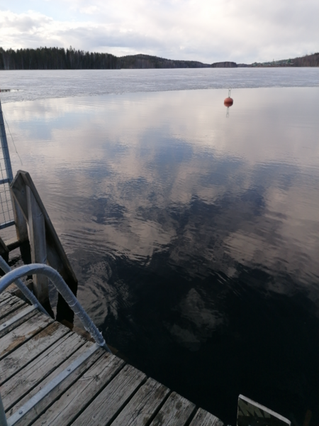 Tiedosto:Puula (14.923.1.001)-Otavan Otsot - satama-ObsTEMP-202205041747-62729467a6bdd.png