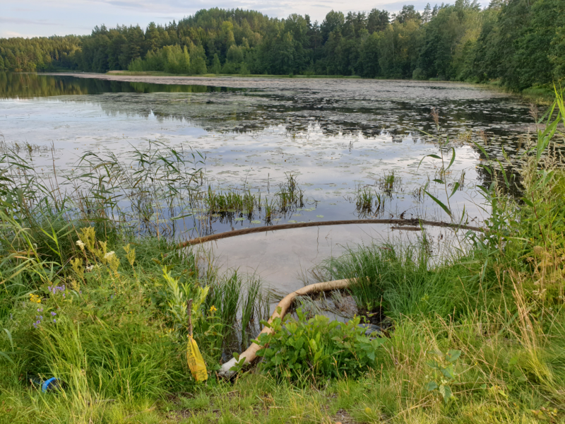 Tiedosto:Urpolanlampi (04.152.1.001)-Uusi hulevesiputki-ObsIMG-202307221959-64bc0bc2522f7.png