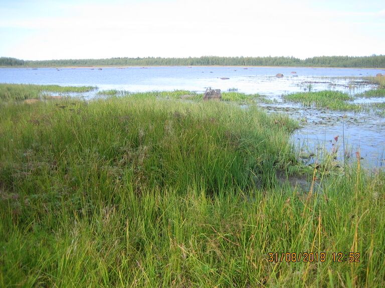 Heinikarinlampi 2.JPG