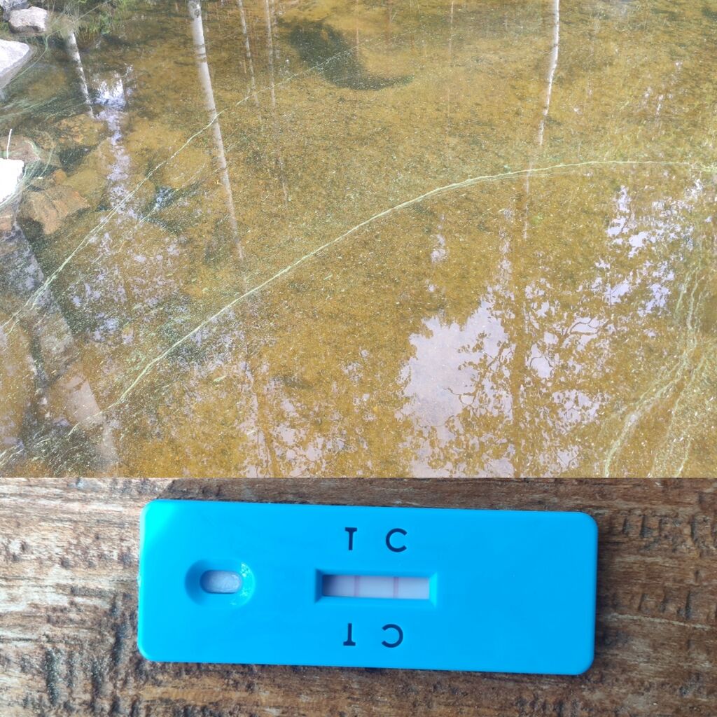 IMG 20230806 151144.jpg