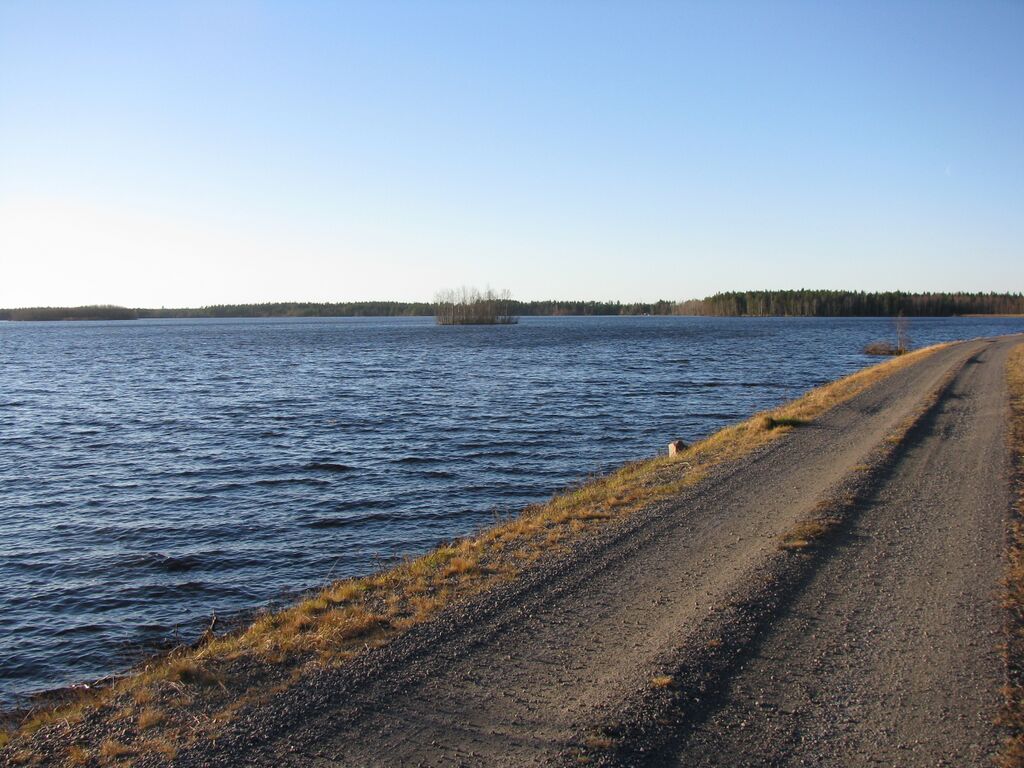 Kuva patotiestä.jpeg